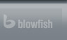 Design, Konzept und Programmierung der Webseite durch Blowfish AG